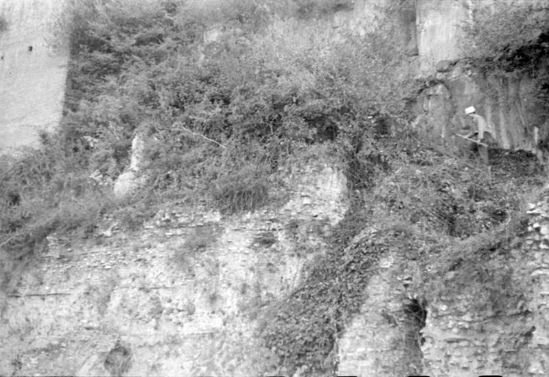 1-00005/ 07547/ 16775 - Roma - Foro Romano/Palatino - Horrea Agrippiana e Velabro pendici occidentali