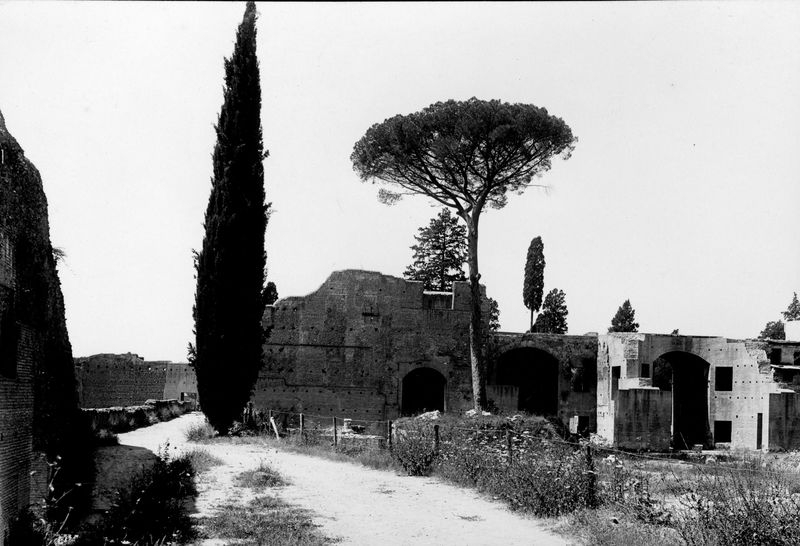 003468 - monumento - Domus Augustana, peristilio superiore: veduta 