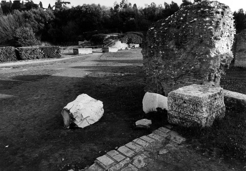 003598 - monumento - Zona tra la Domus Flavia e la Casa di Livia: atti di vandalismo, marzo 1992