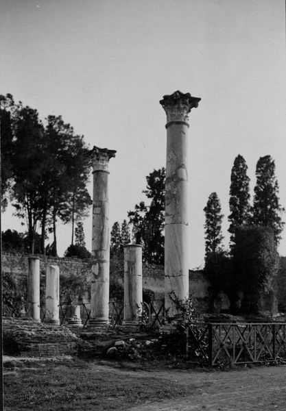 003602 - monumento - Domus Flavia, biblioteche: strutture
