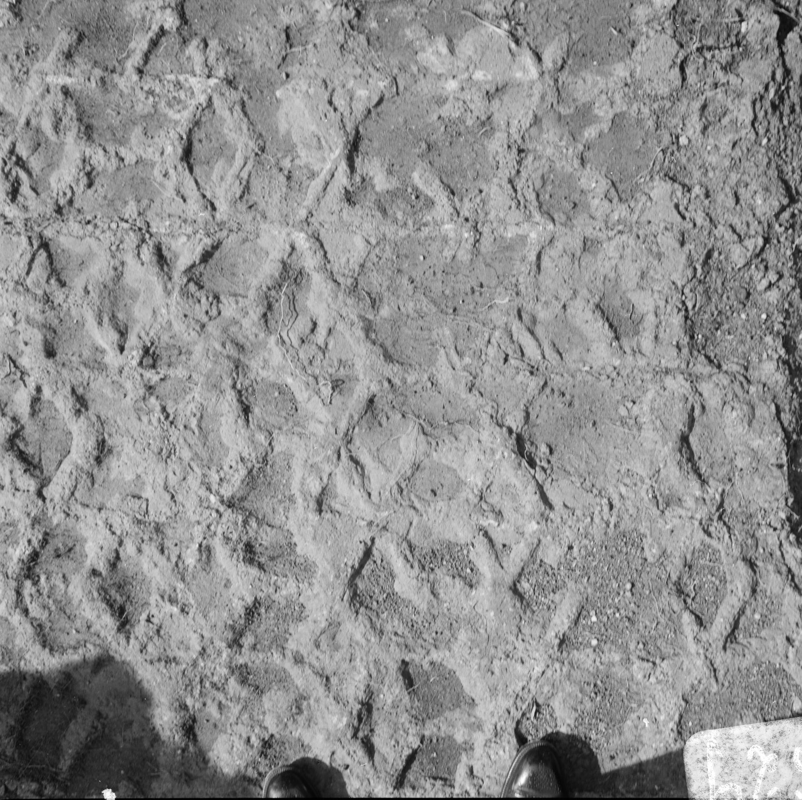 06x06-N_2-01629-08_002863.tif