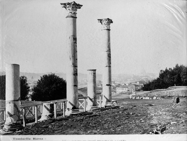003606 - monumento - Domus Flavia, biblioteche: strutture
