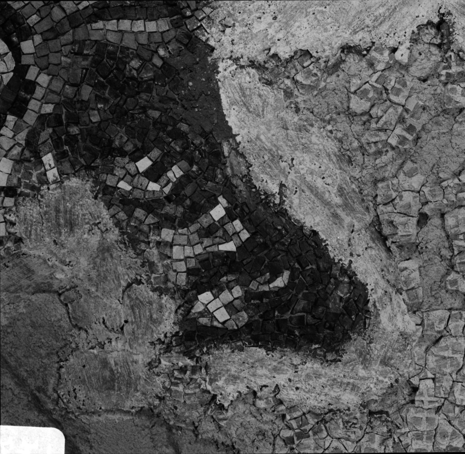 06x06-N_2-01771-10_003005.tif