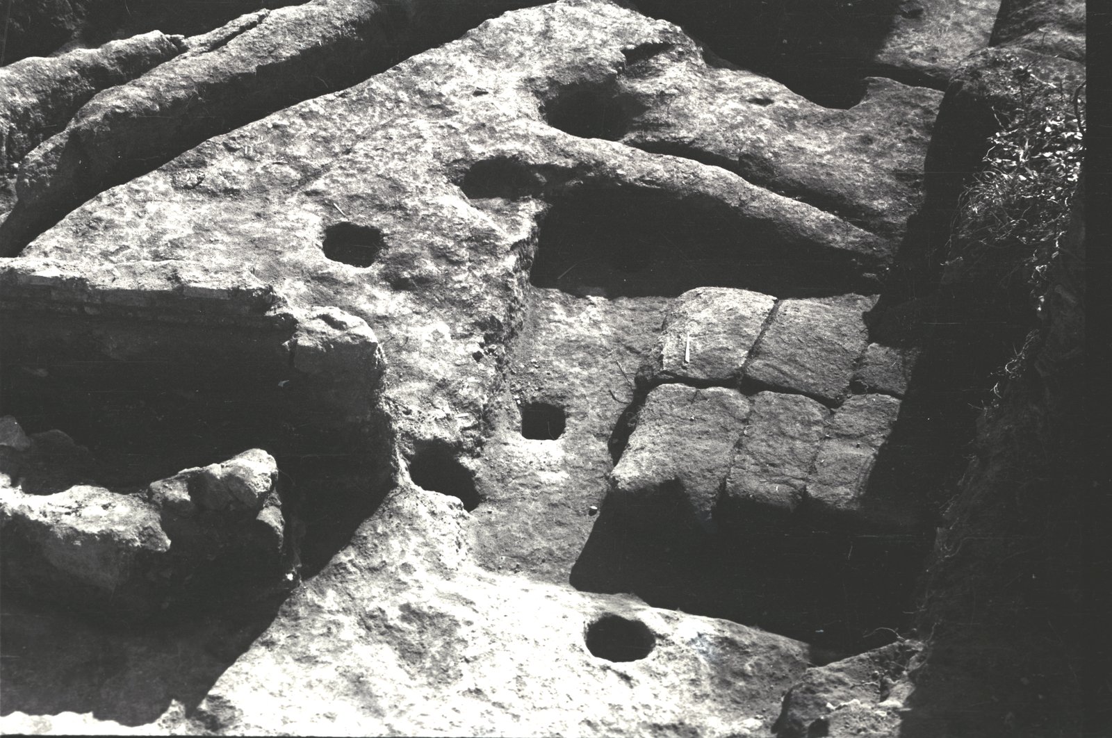 Image1.tif