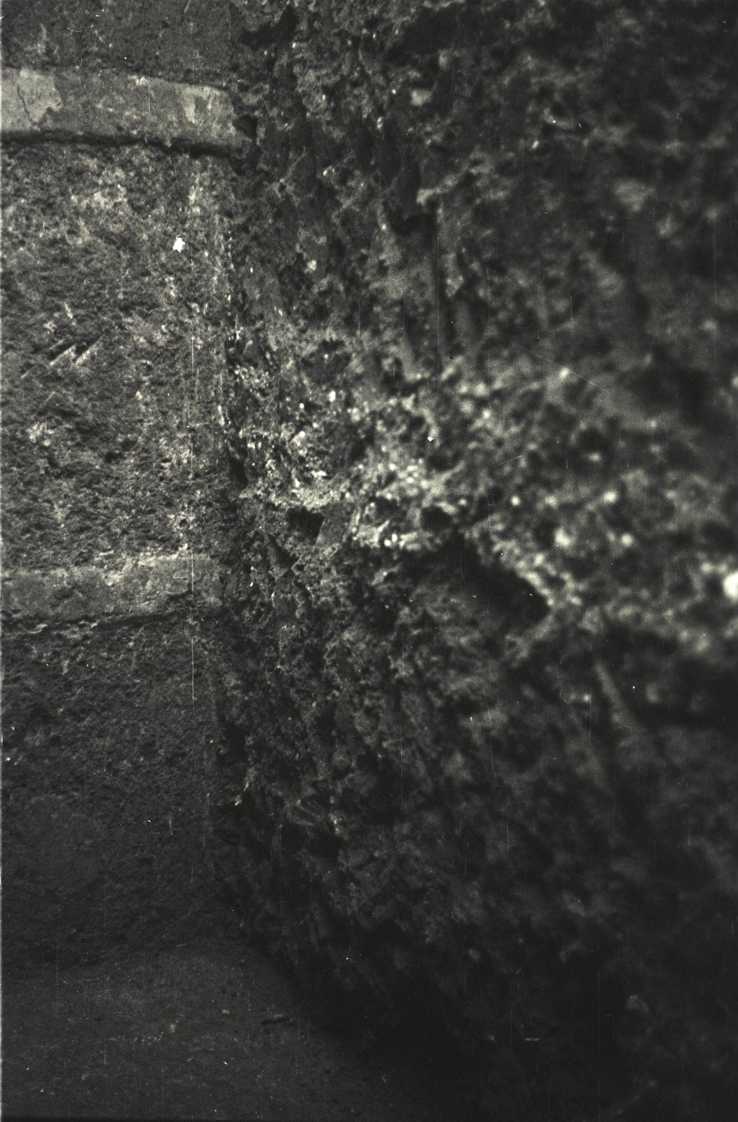 IMG058.tif