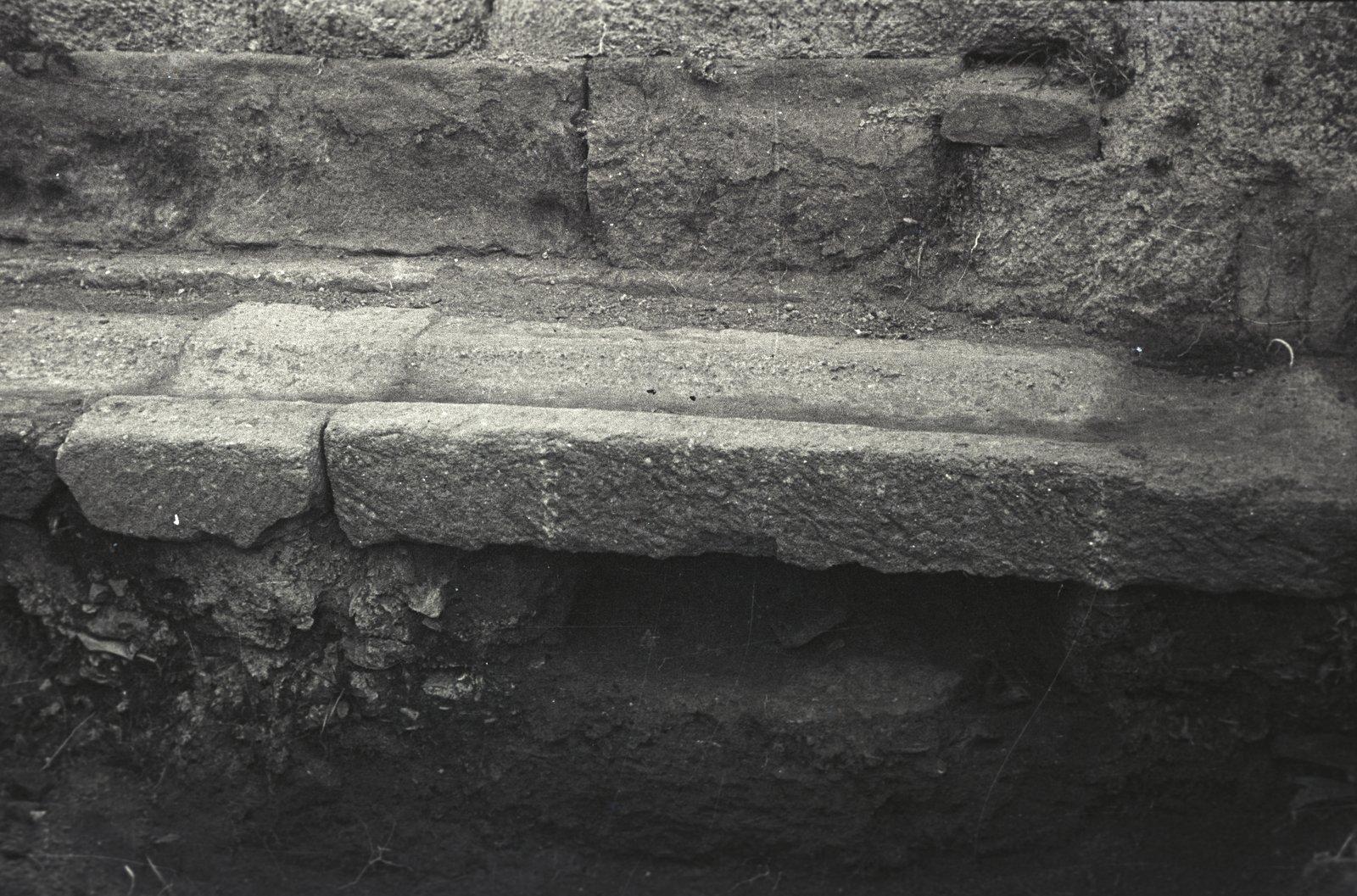 Image24.tif