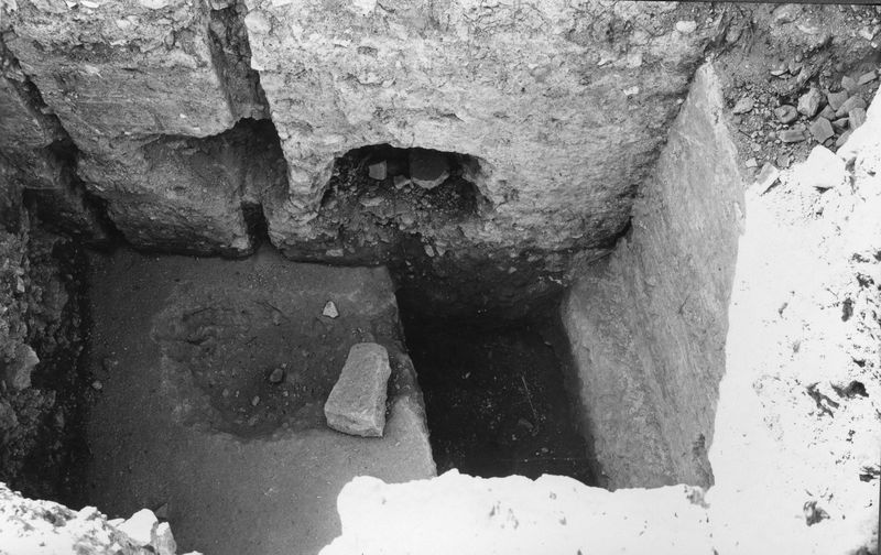 003645 - monumento - Domus Flavia, aula regia: particolare dei saggi sotto il livello domizianeo