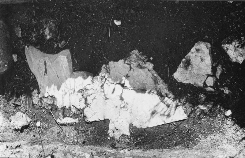 003646 - monumento - Domus Flavia, aula regia: particolare dei saggi sotto il livello domizianeo