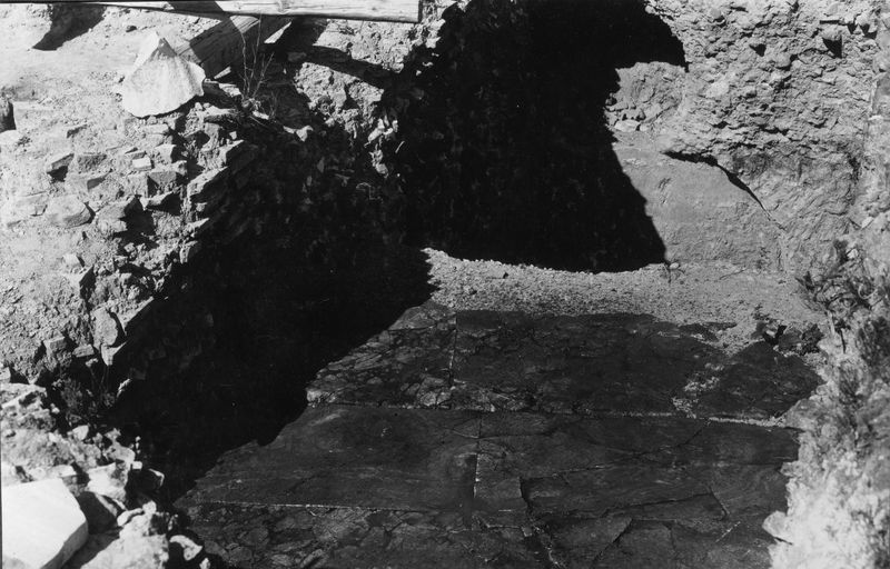 003647 - monumento - Domus Flavia, aula regia: particolare dei saggi sotto il livello domizianeo