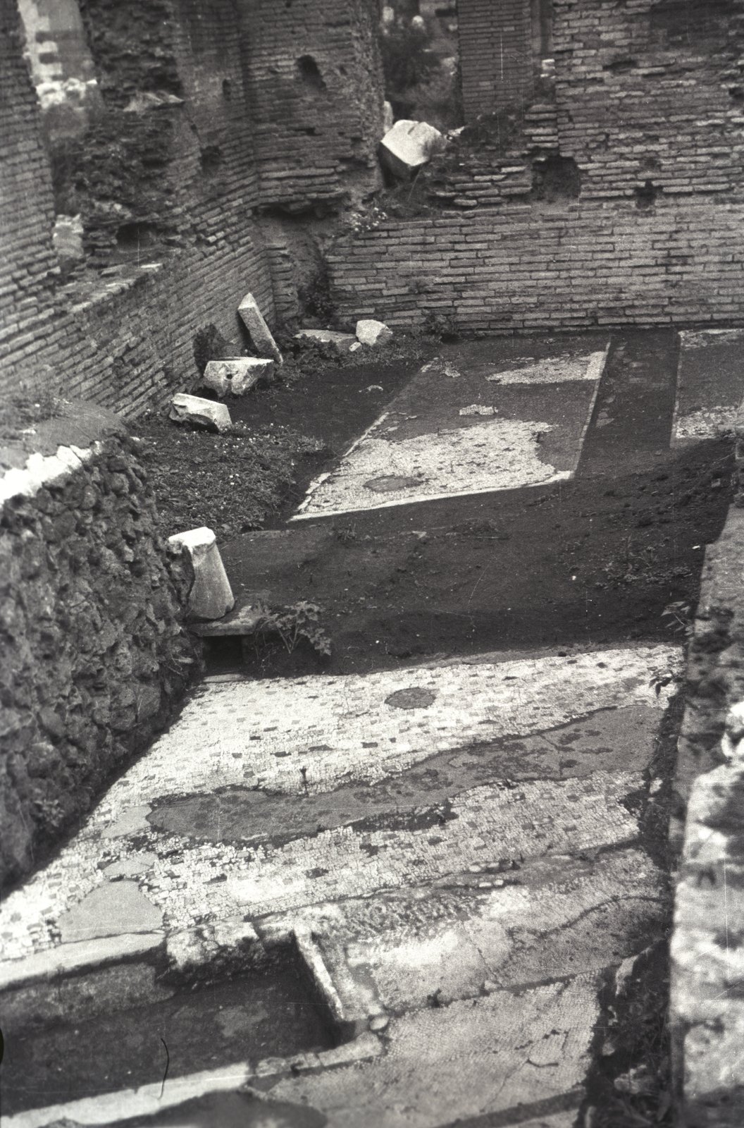 IMG101.tif