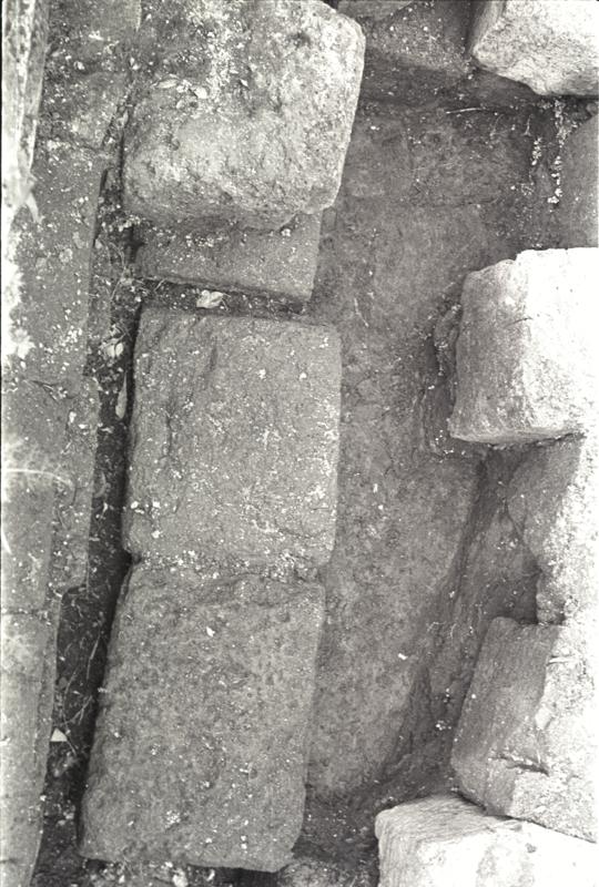 IMG180.tif
