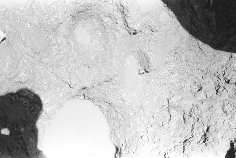 film_00010-07.tif