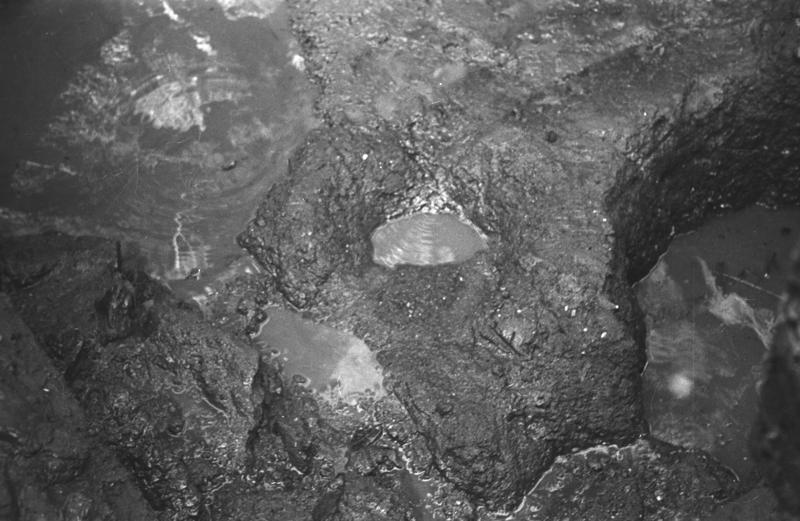 film_00010-09.tif