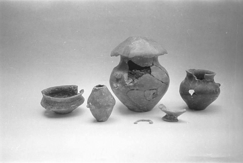 film_00010-24-1.tif