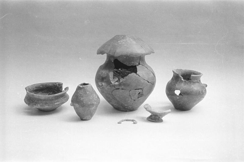 film_00010-24.tif