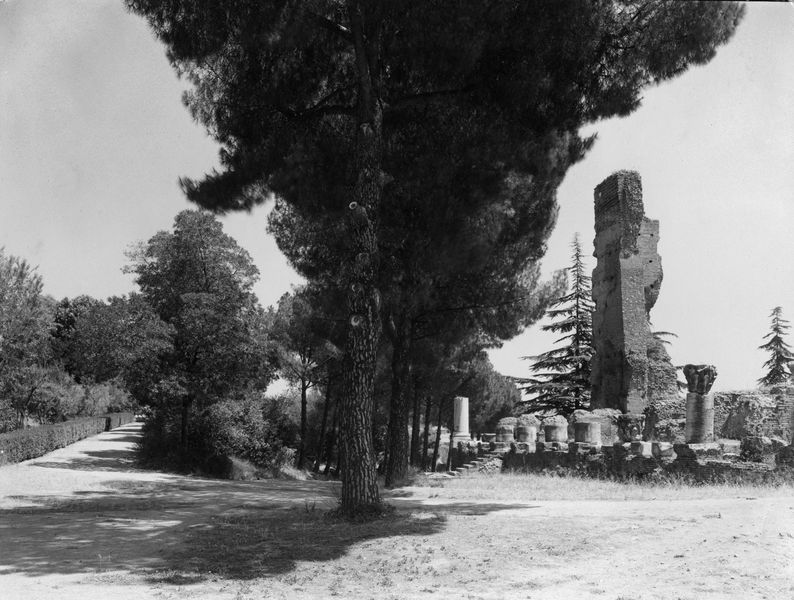 003681 - monumento - Domus Flavia, lato occiderntale: veduta, luglio 1949