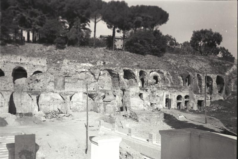 IMG351.tif