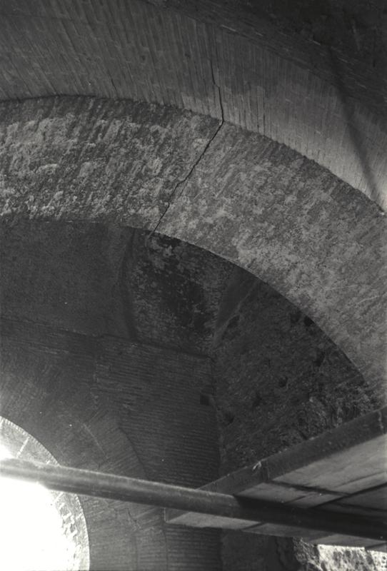 IMG359.tif