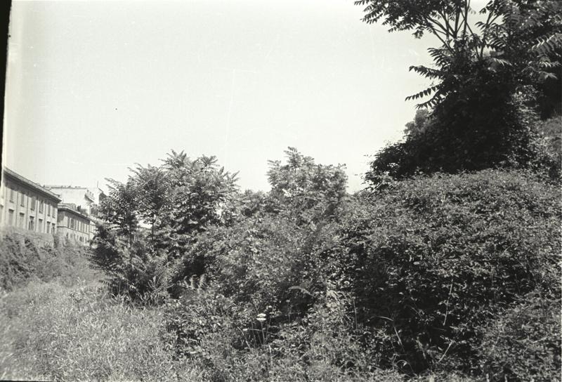 IMG361.tif