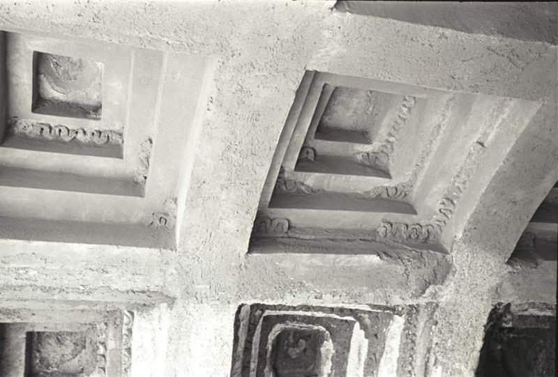 IMG371.tif