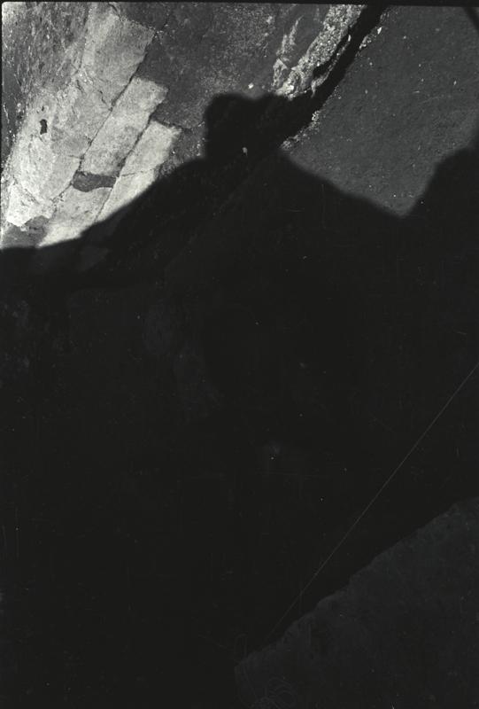 IMG377.tif