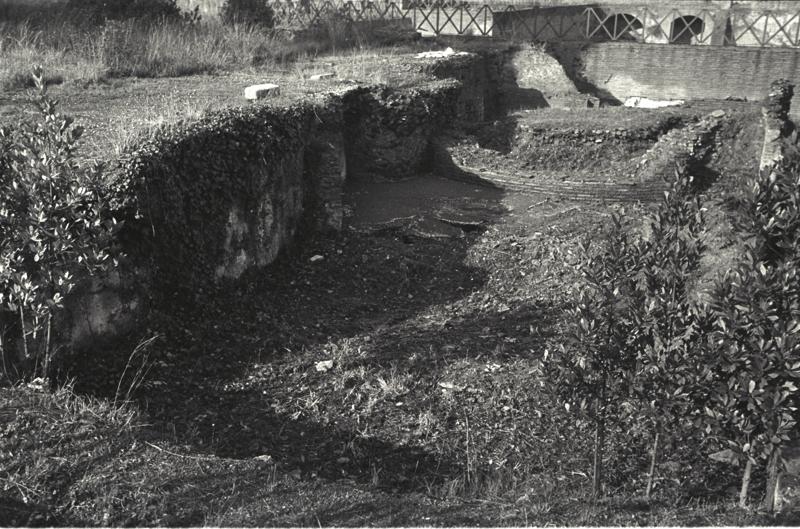 IMG397.tif