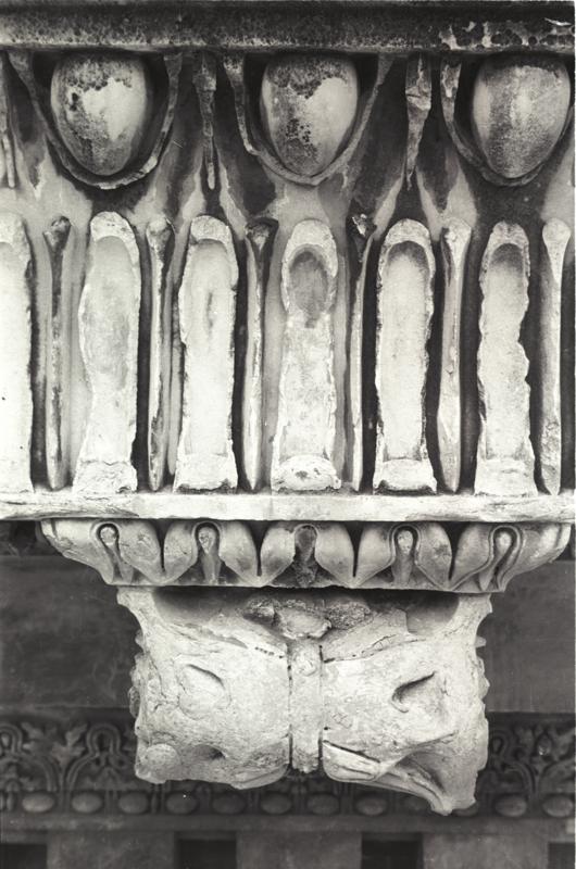 IMG483.tif