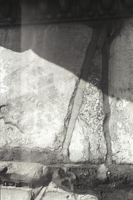 IMG559.tif
