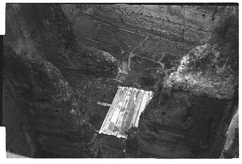 film_00023-12.tif