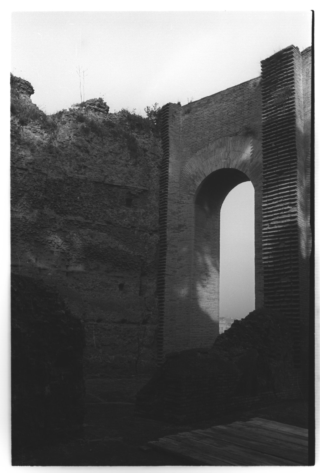 film_00023-14.tif