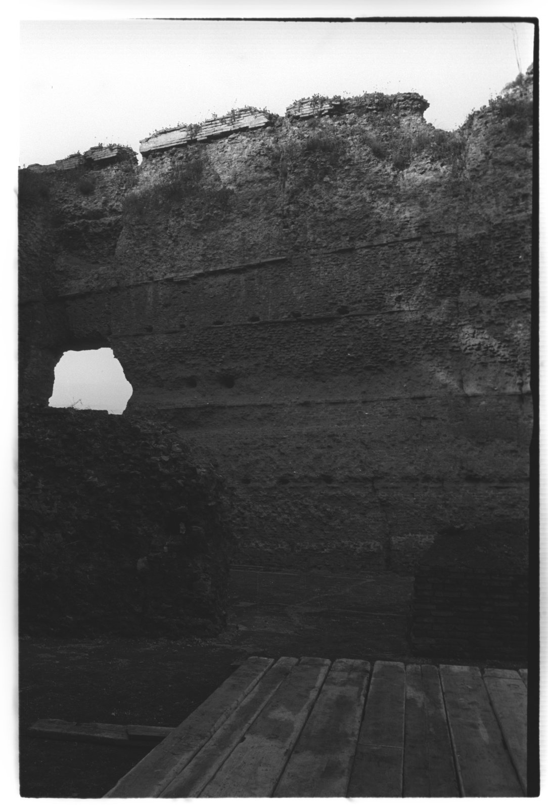 film_00023-15.tif