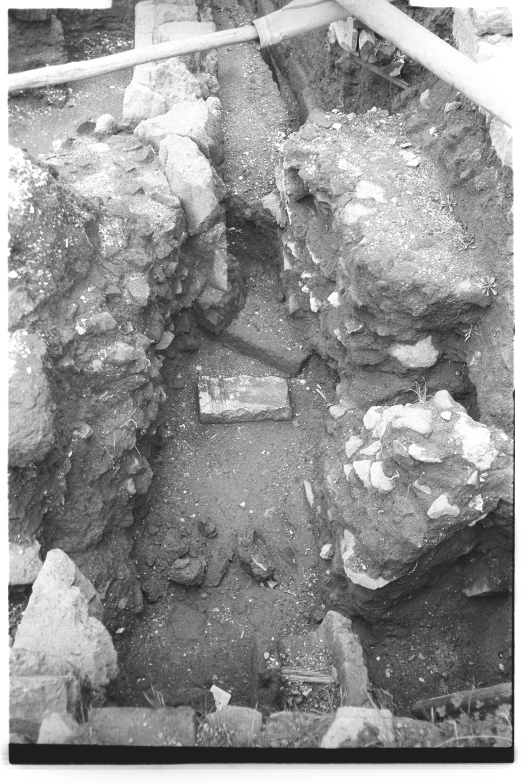 film_00023-17.tif