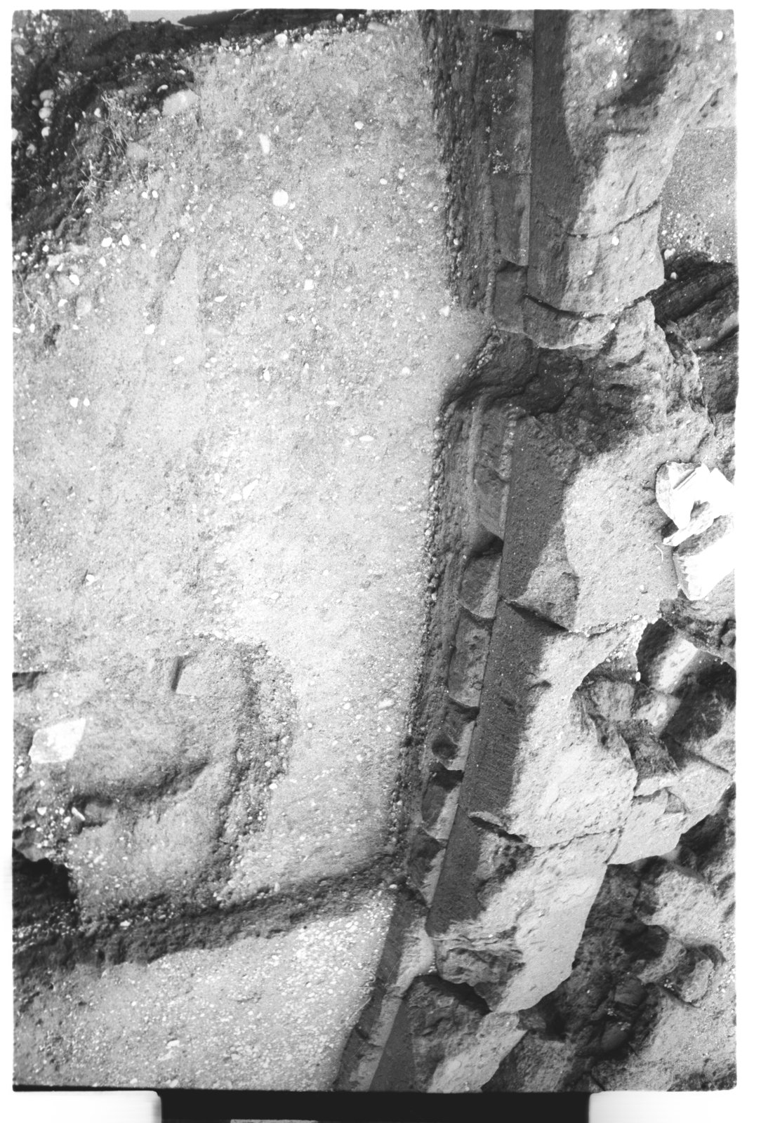 film_00023-20-8.tif