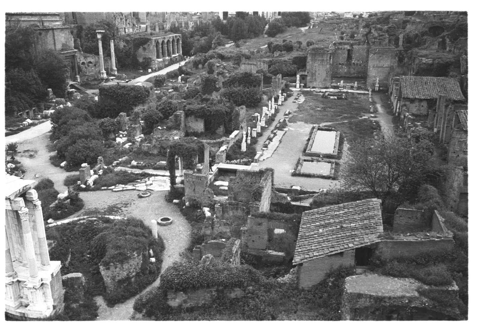 film_00023-36.tif