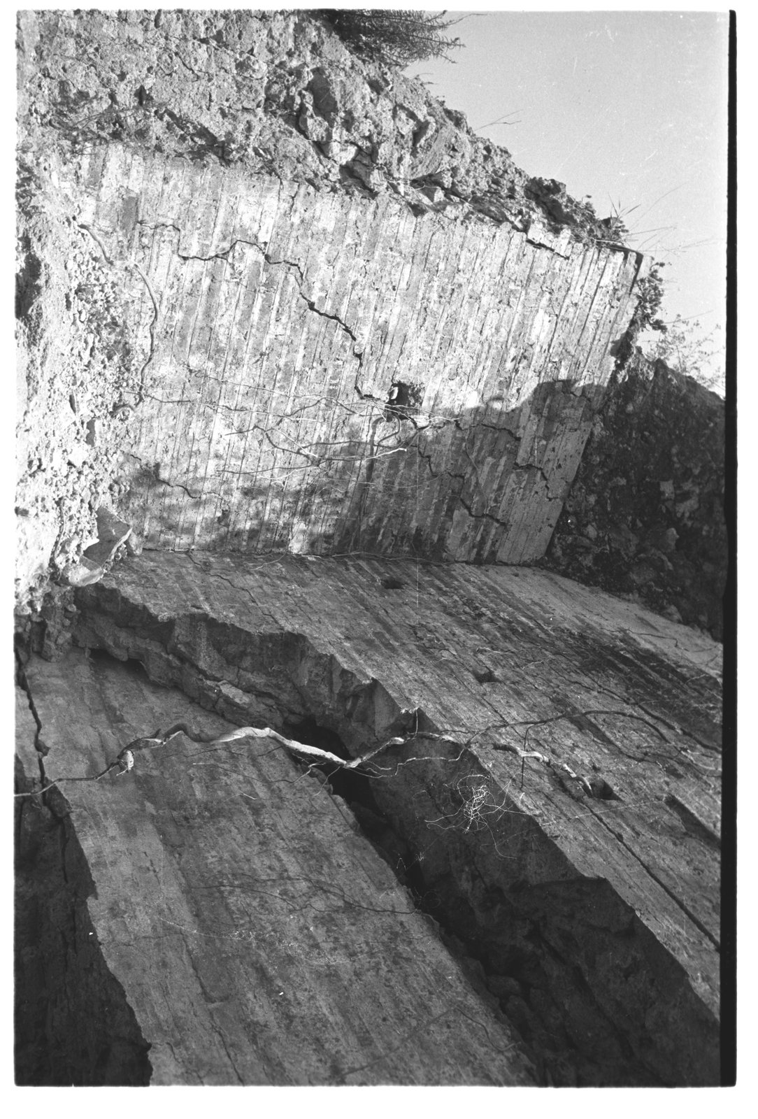 film_00023-A-38.tif