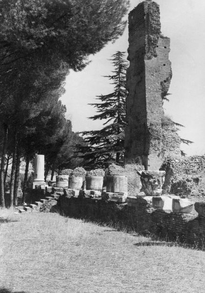 003833 - monumento - Domus Flavia, lato occidentale: lato verso la Casa di Livia