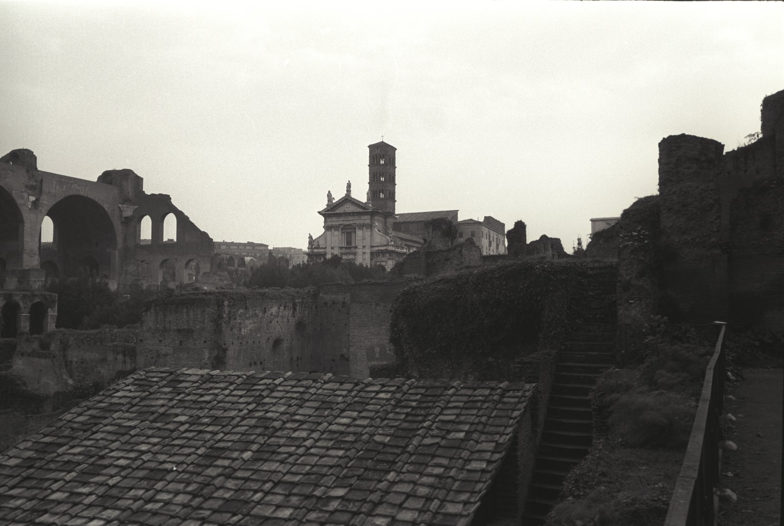 IMG1366.tif