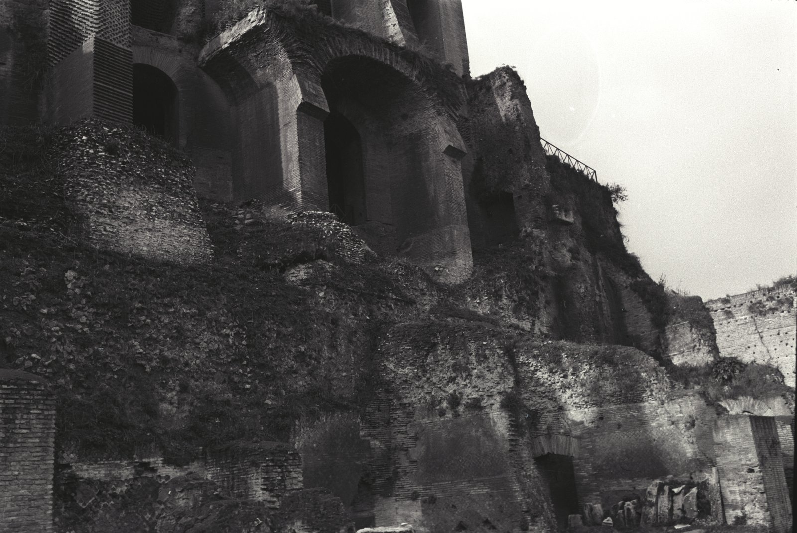 IMG1367.tif