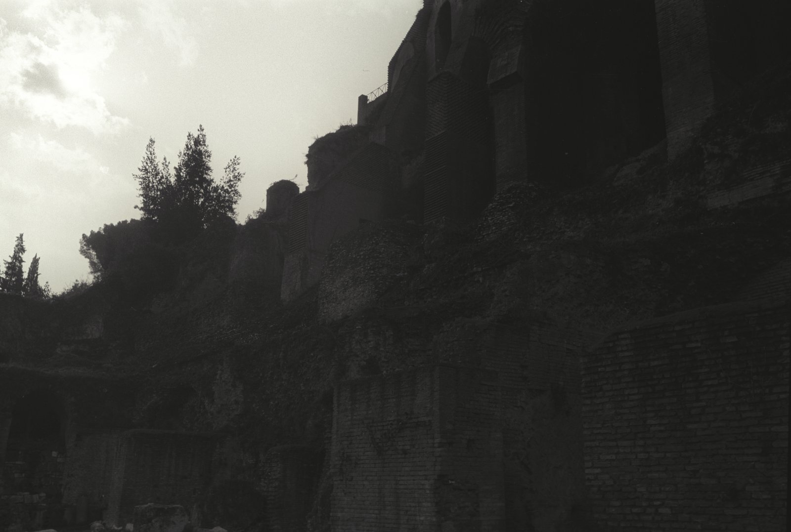 IMG1368.tif