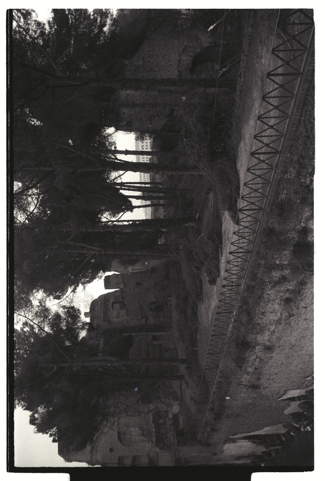 IMG768.tif
