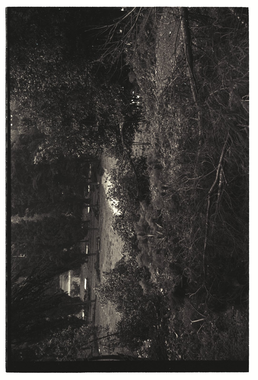 IMG771.tif