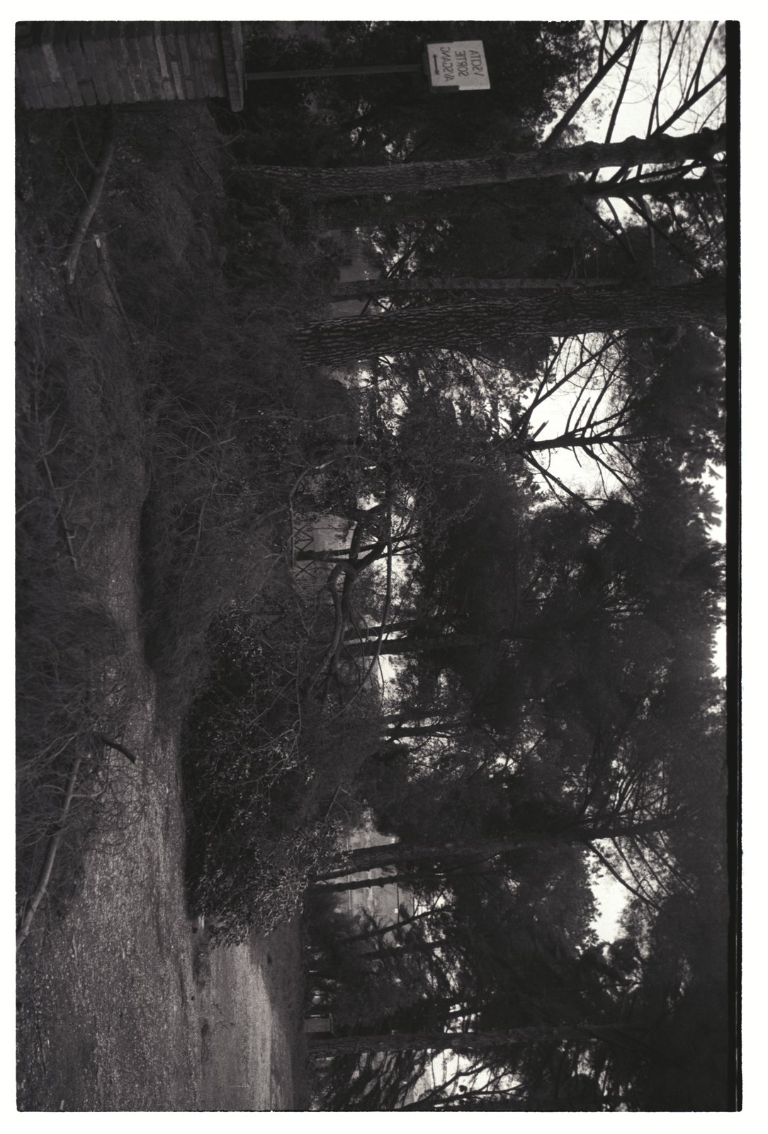 IMG776.tif
