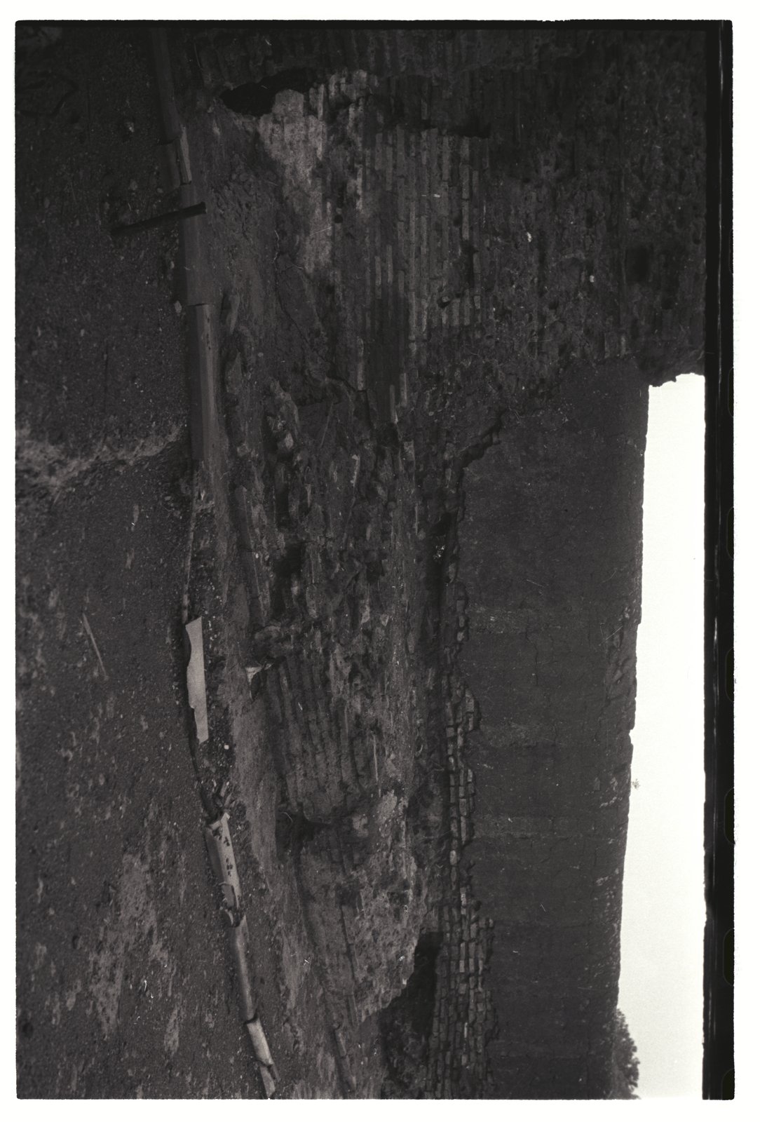 IMG786.tif