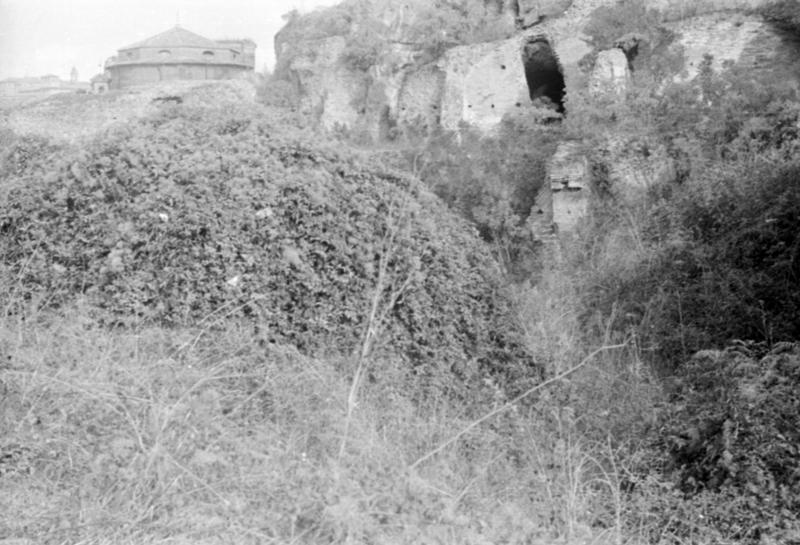 1-00005/ 07547/ 16775 - Roma - Foro Romano/Palatino - Horrea Agrippiana e Velabro area sottostante Tempio Cibele