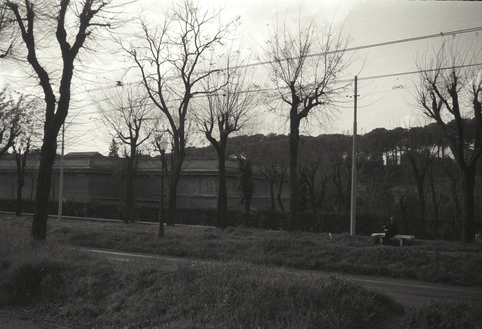 IMG831.tif