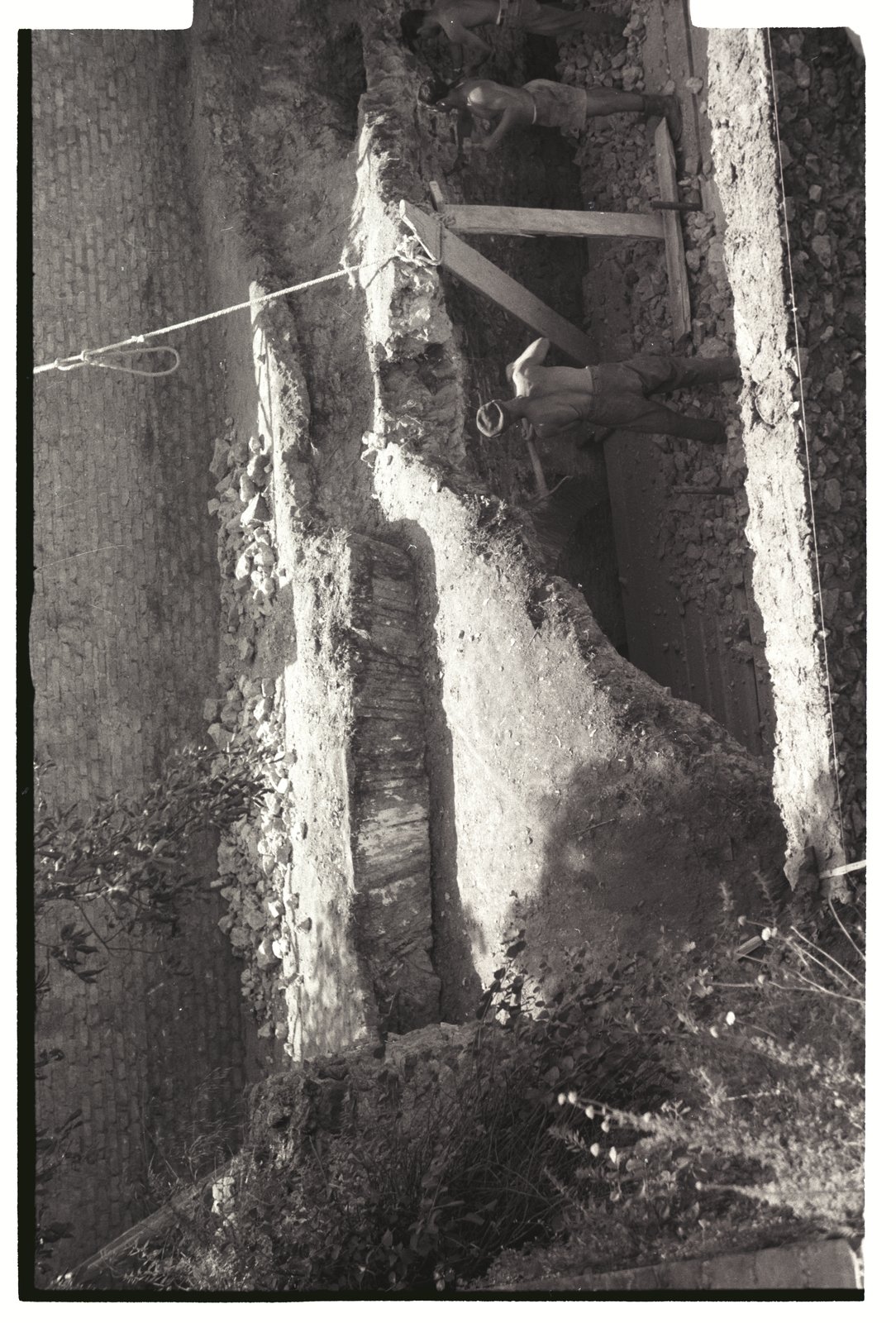 IMG836.tif