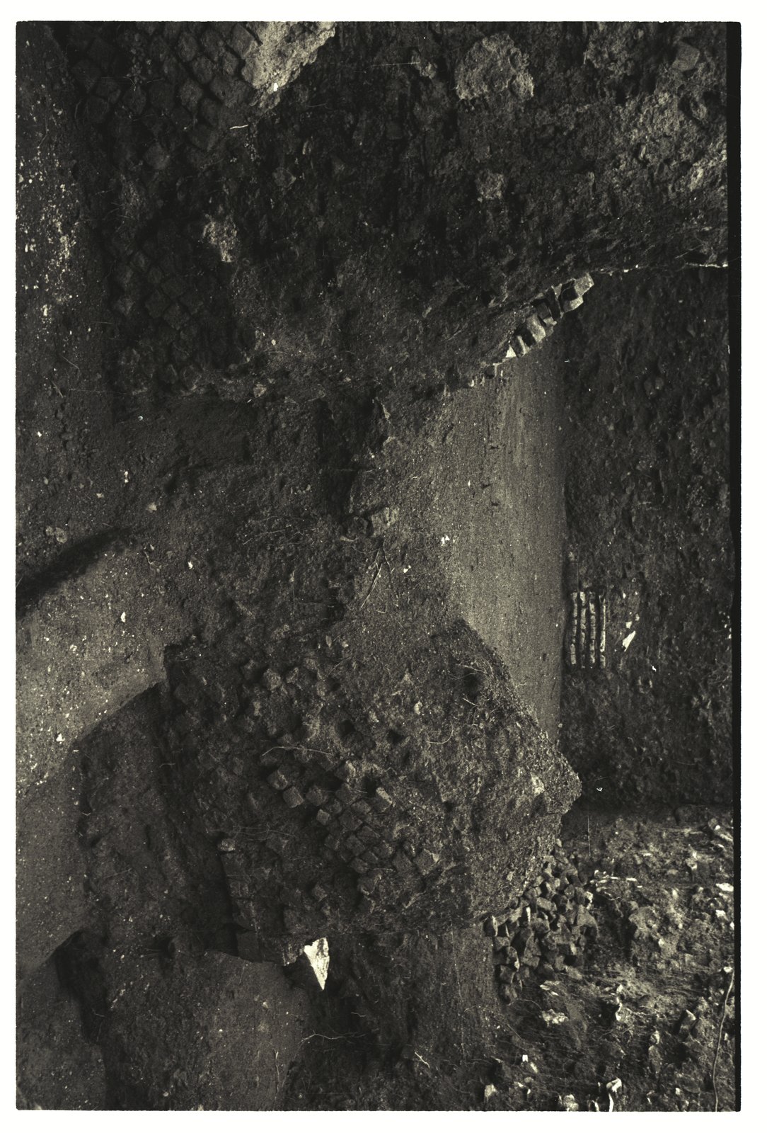 IMG858.tif
