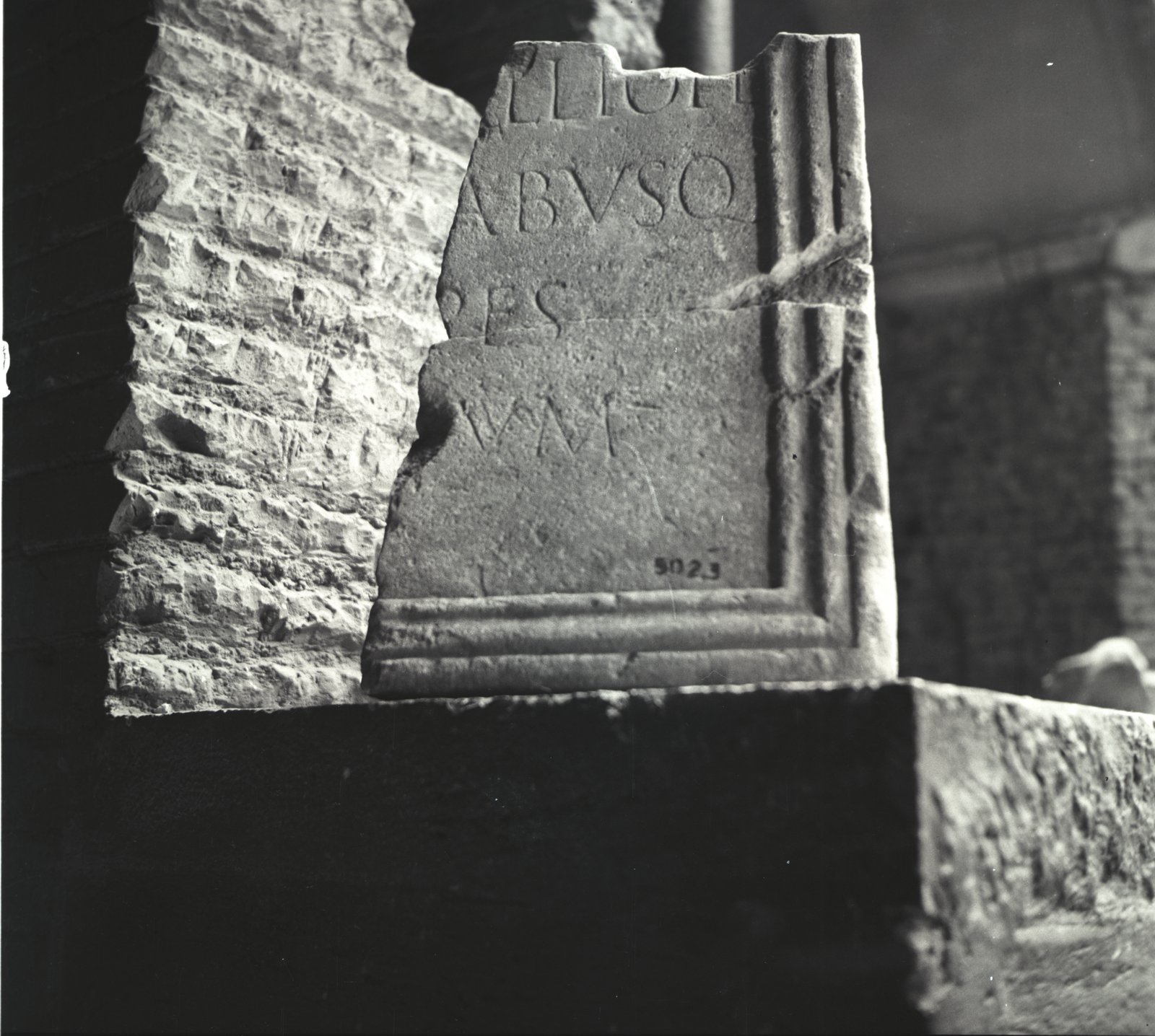 Image5.tif