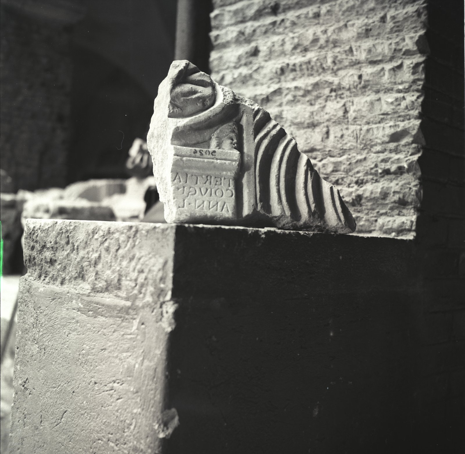 Image6.tif