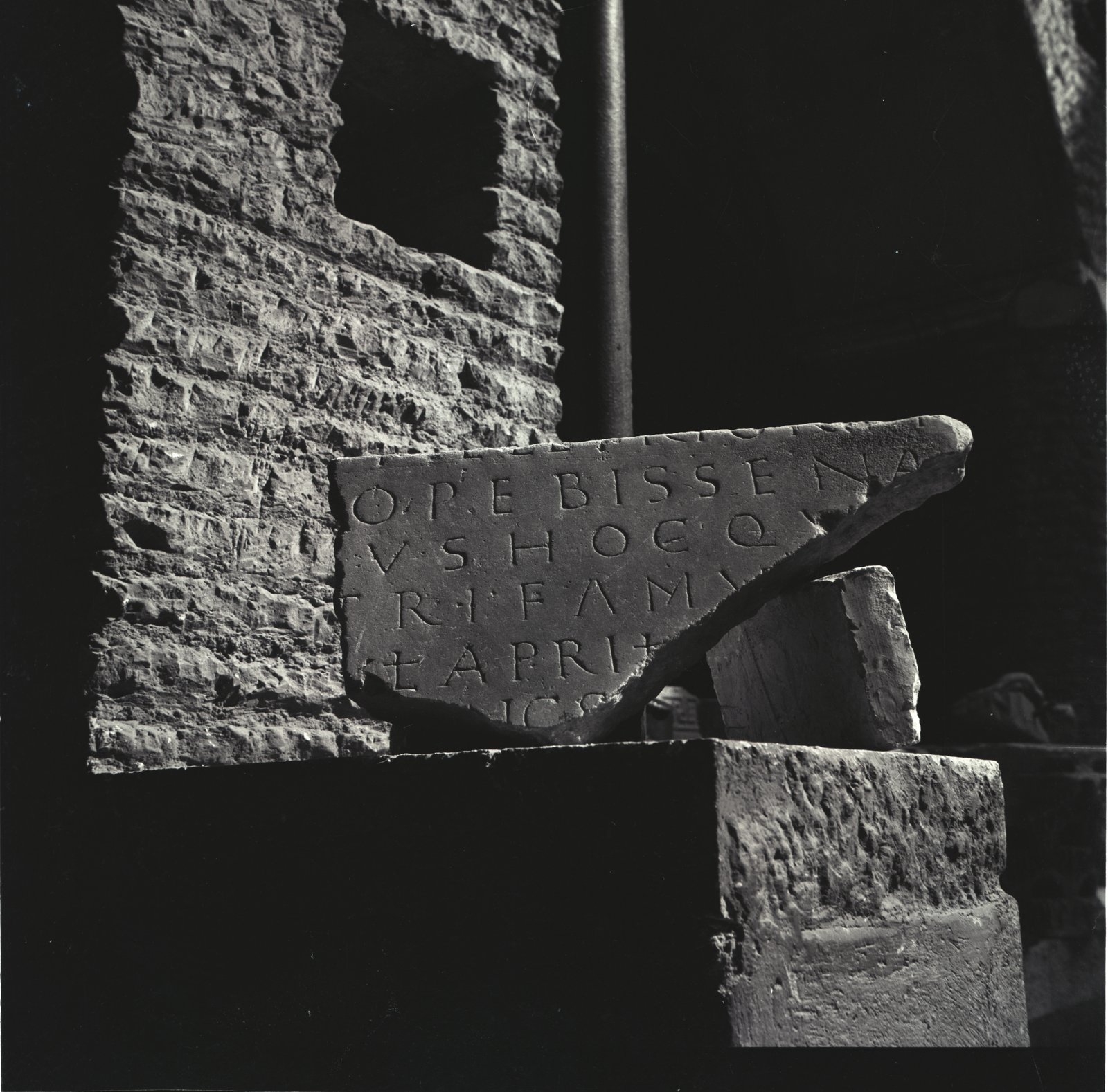 Image75.tif